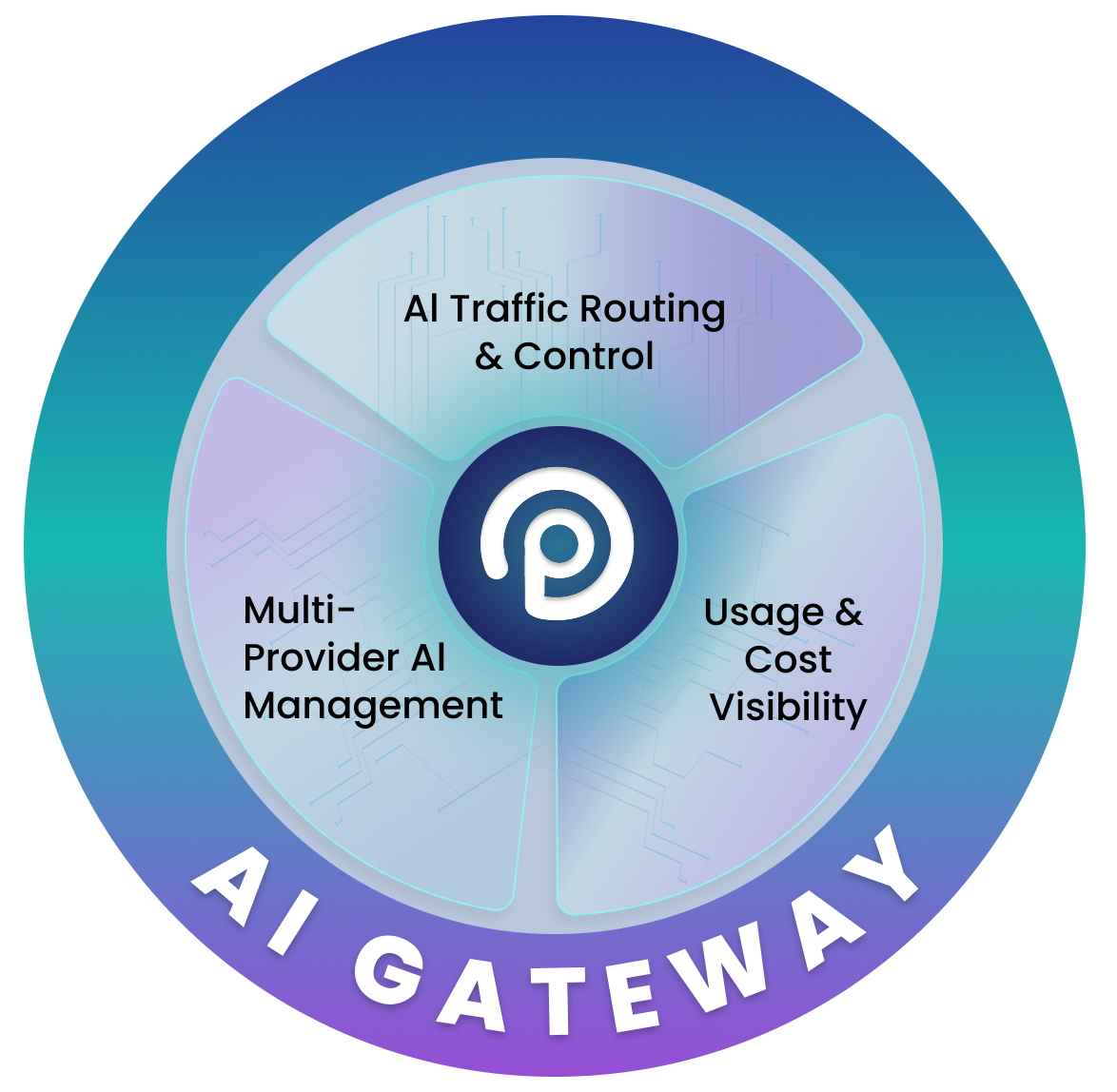 AI Gateway traffic routing, multi-provider management, and usage and cost visibility